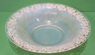 R Lalique Muguet Opalescent Shallow Flaring Bowl Ca:1931 12 "