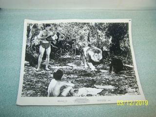 2 Mike Henry Tarzan And The Valley Of Gold 1966 Vintage Movie Stills