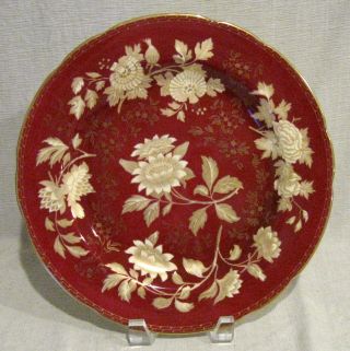 Wedgwood Ruby Tonquin Dinner Plate
