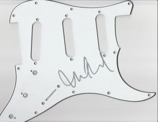 Mike Mccready Signed Electric Guitar Pickguard Stratocaster Fender Pearl Jam