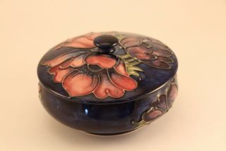 Vtg Moorcroft Art Pottery Anemone Flower Trinket / Powder Box Lidded Dresser Jar