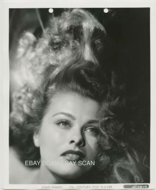 Joan Marsh Gorgeous Flowing Hair Vintage Keybook Portrait Photo By Gene Kornman