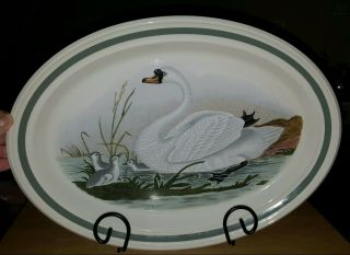 Vintage Portmeirion Birds Of Britain By E.  Donovan Large Oval Platter 15 Inches