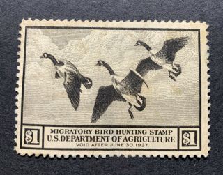 Wtdstamps - Rw3 1936 - Us Federal Duck Stamp - Ng