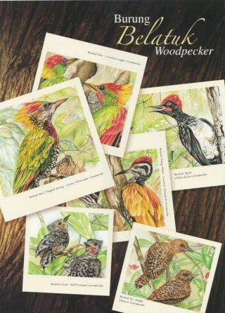 Woodpecker Malaysia 2013 Bird Nature Wildlife Forest Animal (folder) Limited
