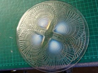 Rene Lalique Coquilles Sea Shell Glass Plate Signed 8 " Diameter - Vg