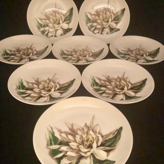 Vintage Santa Anita Ware Night - Blooming Cereus 6 1/2” Bread Plate Set Of 8 Usa