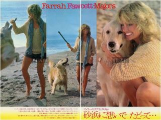 Farrah Fawcett With Dog On The Beach 1978 Japan Picture Clippings 2 - Sheets Ti/w
