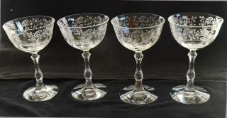 4 Vintage Fostoria Meadow Rose Etched Champagne/sherbet Glasses Near -