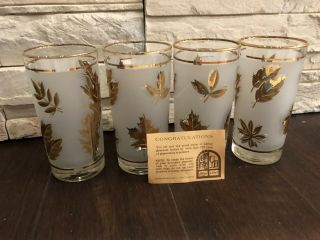 Set Of 4 Vintage Libbey Frosted Clear Gold Leaf Tumbler Glasses Mid - Century Mcm