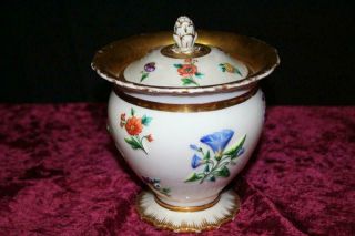 Antique Meissen Lidded Pot/bowl With Gold Trim And Popping Floral Design Rare