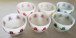 6 Fire King Tulip Cottage Cheese Bowls Pink,  Red,  Purple,  Green,  Yellow,  Blue