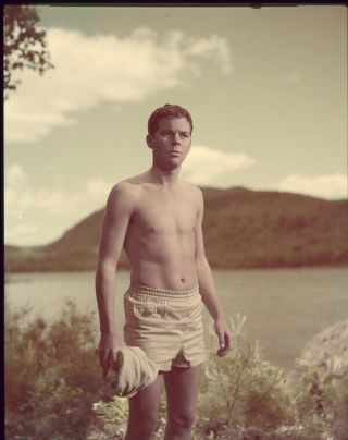 Russ Tamblyn Vintage Bare Chested Hunky Portrait Photo 5x4 Transparency