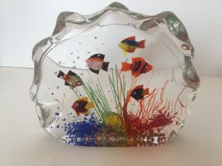 Murano Colorful Tropical Fish Aquarium Art Glass Sculpture Paperweight 7 " Long