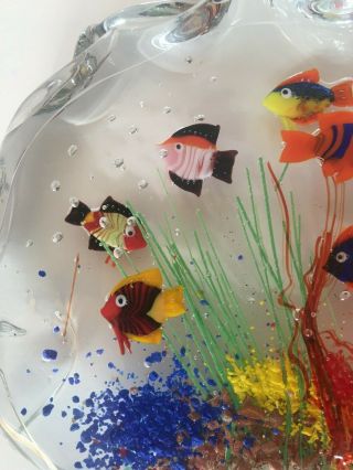 MURANO Colorful TROPICAL Fish AQUARIUM Art Glass SCULPTURE Paperweight 7 