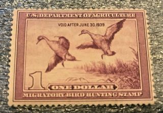 Rw5 1938 Federal Duck Stamp F - Vf Unsigned