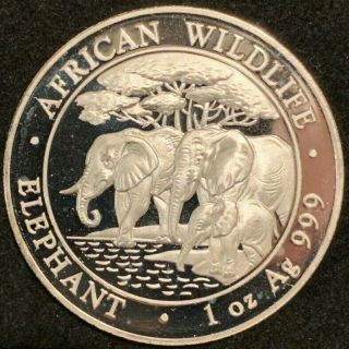 2013 Somalia Elephant " African Wildlife " 1 Oz.  999 Fine Silver Proof Coin