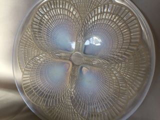 Large Rene Lalique 10.  5 " Coquilles Charger Platter Plate Bowl - Signed