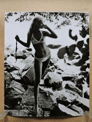 Sybil Danning Large Size Leggy Barefoot Bikini Portrait Photo 1960s