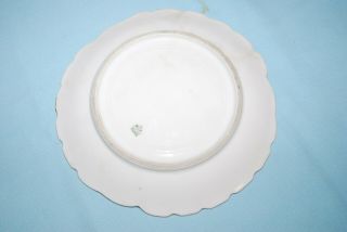 Limoges M Redon France Rare Fish/Conch Shell Plate Gold Scallop Trim 3