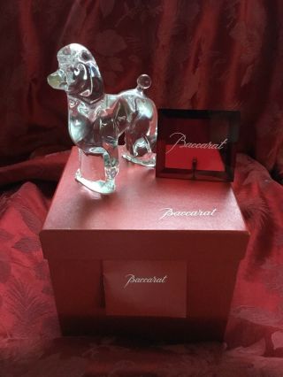 Mib Flawless Exceptional France Baccarat Glass Clear Crystal Caniches Poodle Dog