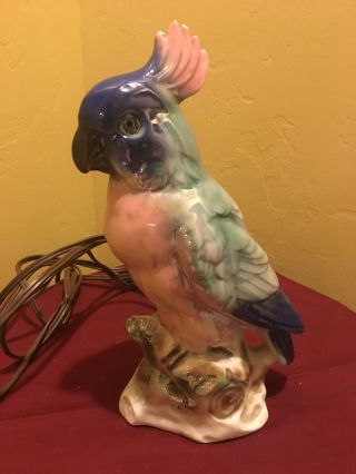 Mid Century Italian Capodimonte Parrot Porcelain Figure Bird Night Lamp 8.  5 "