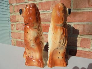 Pair Antique Staffordshire Pottery Spaniels Dogs 9 