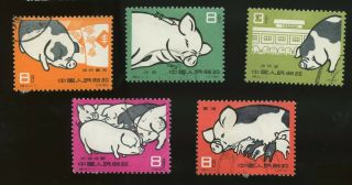 Pr China 1960 S40 Pig Breeding Set,