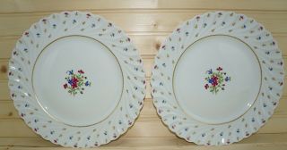 Haviland Limoges Lutetia (2) Dinner Plates 10 1/2 " - Gold Red Blue Flowers