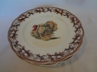 Williams Sonoma - Turkey - Set Of 4 Salad Plates - Thanksgiving Acorn Design