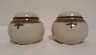 Noritake Chaparral Stoneware Salt And Pepper Shakers 8482