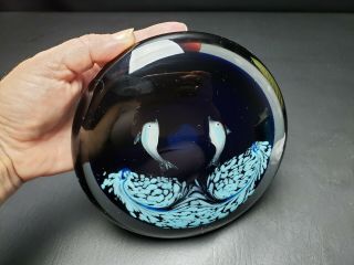 Cenedese Italian Murano Art Glass Fish Sea Sculpture Or Large Paperweight 7 "
