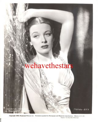 Vintage Patricia Morison Gorgeous Sexy Cellophane Glamour 40 Publicity Portrait
