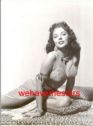 Vintage Joan Collins Sexy Busty 