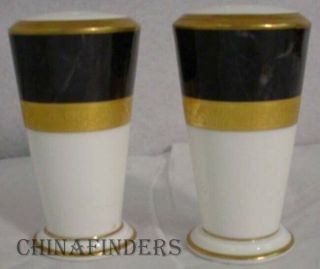 Noritake China Opulence 9799 Pattern Salt & Pepper Shaker Set - 3 - 1/2 "