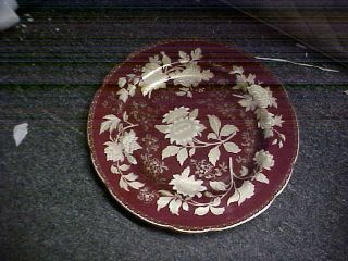 Wedgwood Tonquin Ruby Dinner Plate