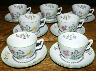 Spode Fine Stone Summer Palace W150 Seven Tea Or Coffee Cups And Saucers