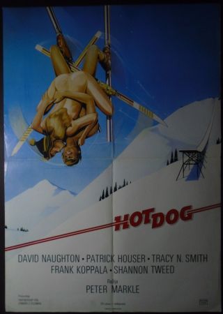 Hot Dog The Movie 1984 Sexy Tracy Smith David Naughton Unique Yugo Movie Poster