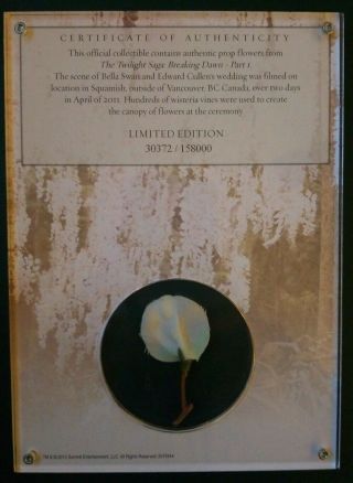 The Twilight Saga Breaking Dawn Part 1 Collectible Limited Edition Prop Flowers 2