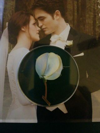 The Twilight Saga Breaking Dawn Part 1 Collectible Limited Edition Prop Flowers 3