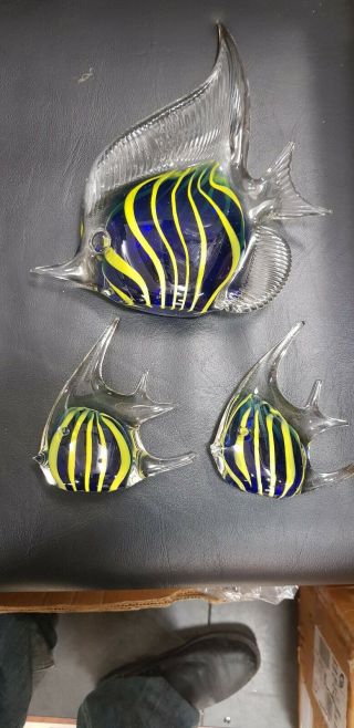 Vintage Murano Art Glass Angel Fish,  Clear,  Blue,  Yellow - Set Of Three