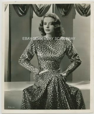 Jane Greer Sexy Leopard Dress Vintage Portrait Photo By Ernest Bachrach