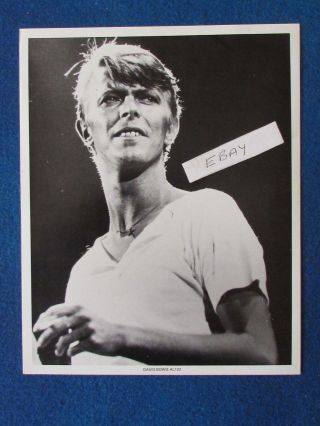 Press Promo Photo - 10 " X8 " - David Bowie - 1980 