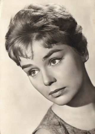 Susanne Cramer - Hollywood Movie Star/actress Glamour 1950s Fan Postcard