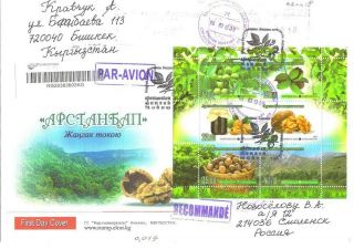 Kyrgyzstan 2013.  Nuts Forests - Arstanbap.  Mi.  Bl63a.  Fdc Int.  Registered Mail