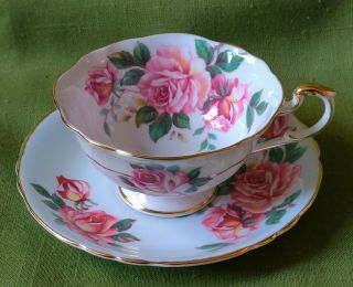 Teacup & Saucer Pink Roses On White Ground Paragon England