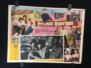 1964 Elvis Presley Kissin Cousins Mexican Lobby Card Movie Art 16 " X12 "