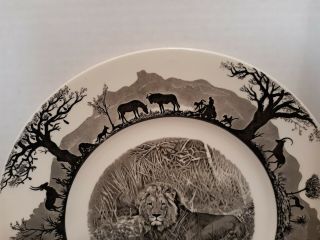 Wedgwood Kruger National Park Lion Dinner Plate 2