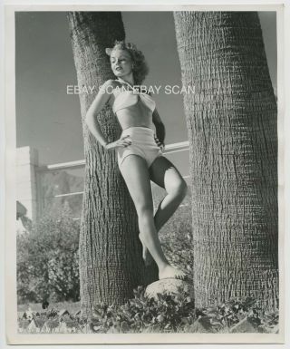 Janet Blair Sexy Leggy Swimsuit Vintage Portrait Photo