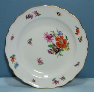 Antique Meissen Porcelain Hand Painted Flowers And Insects 7 " Plate